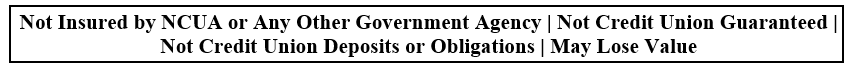 Not Insured by NCUA or Any Other Government Agency | Not Credit Union Guaranteed | Not Credit Union Deposits or Obligations | May Lose Value