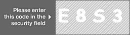 captcha code for visual authentication  letter E number 8 letter S number 3