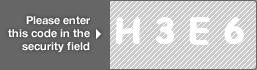 captcha code for visual authentication  letter H number 3 letter E number 6