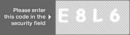 captcha code for visual authentication  letter E number 8 letter L number 6