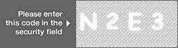 captcha code for visual authentication  letter N number 2 letter E number 3